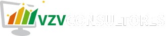 VZV Consultores